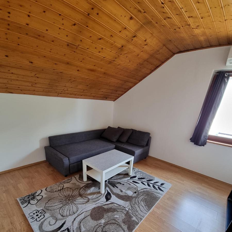 Kiki Privatne Sobe, Zagreb Airport Apartment Velika Gorica Exterior photo